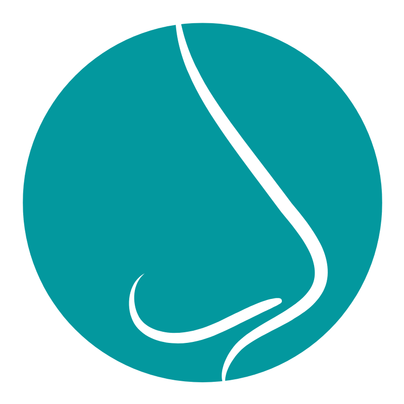 Logo Dr. Rafael Geminiani